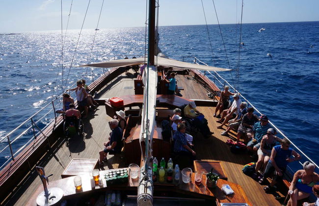 Los Cristianos Dolphin & Whale Watching Trip + Lunch - Photo 3