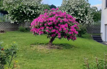 Ferienwohnung Fülbier - Foto 23