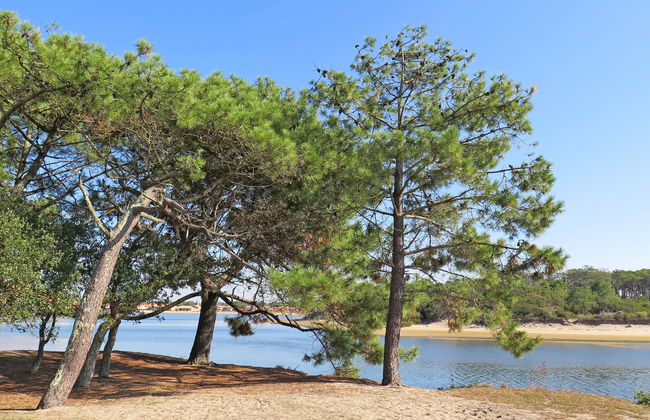 Les Sables d’Or T3 - Foto 24