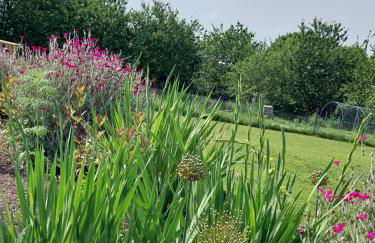 Beautiful 2 bed cottage with swimming pool - Foto 55