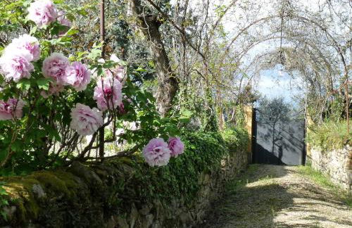 Il Casalone - Foto 35