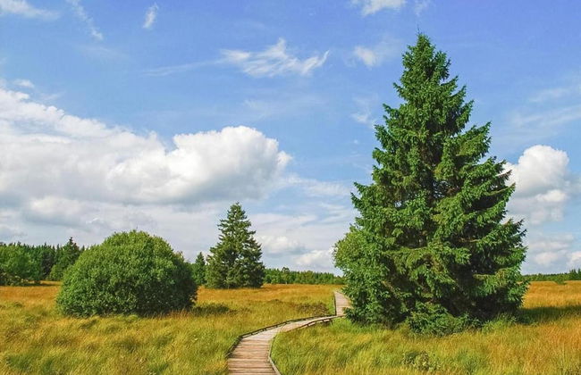 Robertville Lakeview Escape - Photo 37