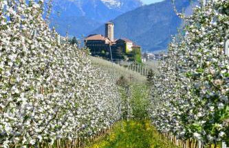 Casa vacanze Monica - Foto 1