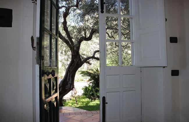 Villa degli Ulivi - Photo 3