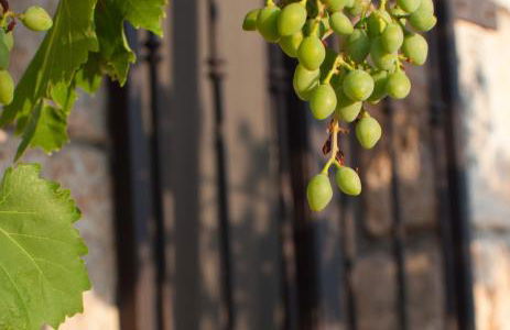 Dimora Casanoja - Foto 22