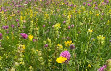 Unique luxurious cabin on sea view working croft - Photo 31