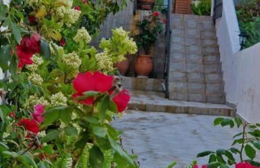 Afroditi's 1 - Photo 41