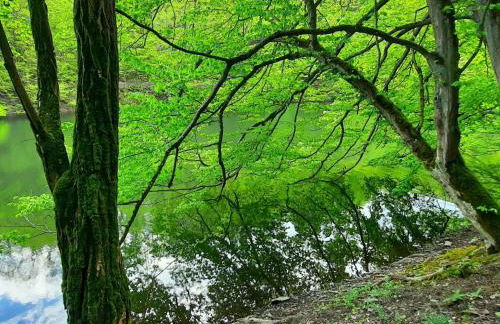 Holiday Home Gartenblick in Vöhl-Basdorf by Interhome - Foto 16