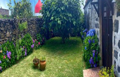 Alojamento CASA DA FIGUEIRA - Photo 51