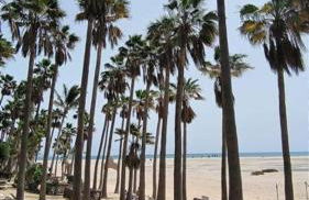 Blue Beach - Photo 24