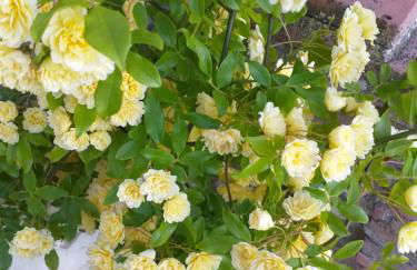 Appartamento Azzurra - Foto 26