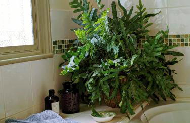 Garden View Apartment - Foto 13