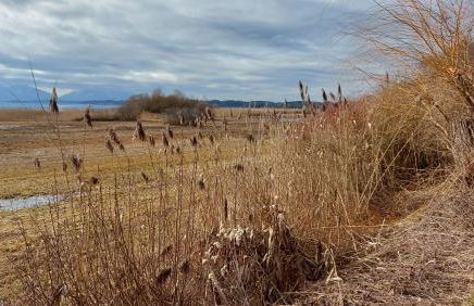 Marxhof Seebruck am Chiemsee - Photo 36