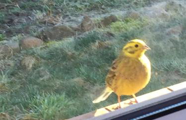 Dom w Sąpach - Foto 57