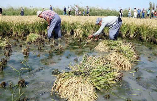 Allotjament turistic Casa Serral-Ocampo - Foto 38