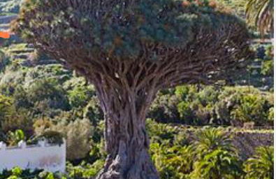 Casa Teide - Foto 58