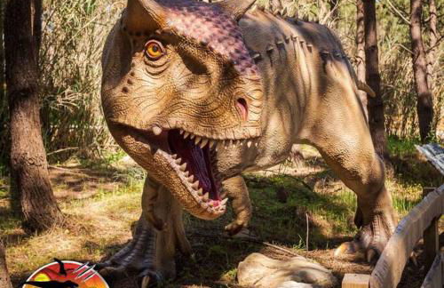 House in the historic area of Lourinhã - Foto 48