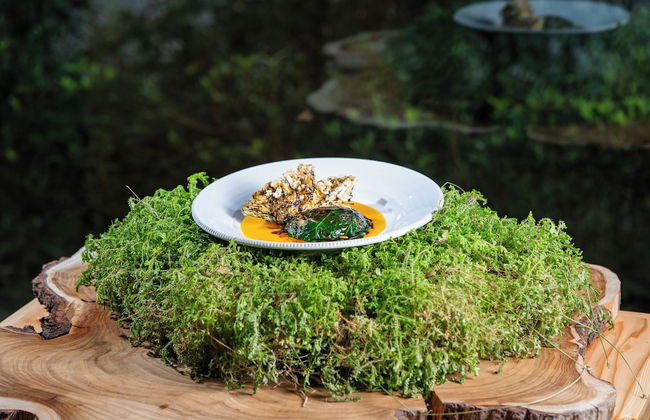 Furnas Lake Forest Living - Photo 58