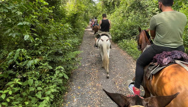 Útica Horse Riding Tour - Foto 4