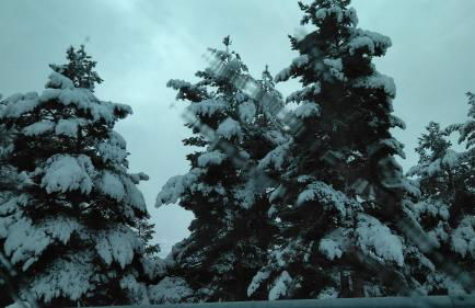 El Torreón I - Photo 31