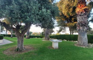 Gran Vista - playa y piscina - Photo 29