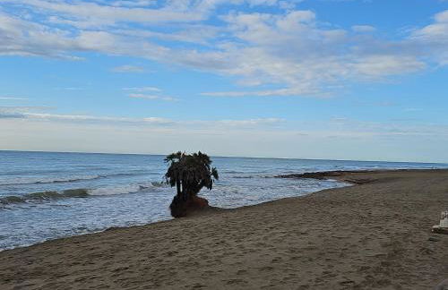 Apartamento Acapulco III Primera linea - Photo 18