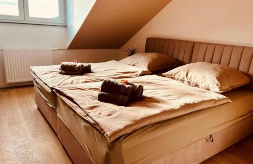 Apartments am Exerzierplatz Pirmasens - Foto 52