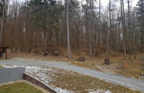 Family friendly house with a parking space Garesnica - Bjelovarska - 19166 - Foto 7