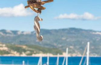 Hippocampus Home - Photo 20