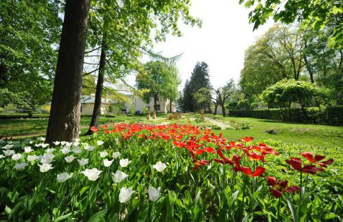 Willa Różana - Foto 60