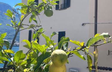 Domus Graziana - Lake Front - Foto 8