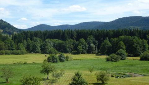 AB Bel appartement 1 à 4 pers face vallée 3 étoiles WIFI - Foto 5