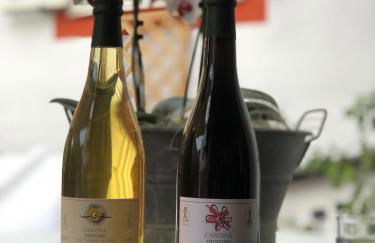 Agriturismo Cantina Morone - Foto 47