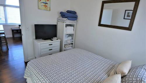 Remodeled, Grill, Outside Seating, Dock, Swimming - Photo 4