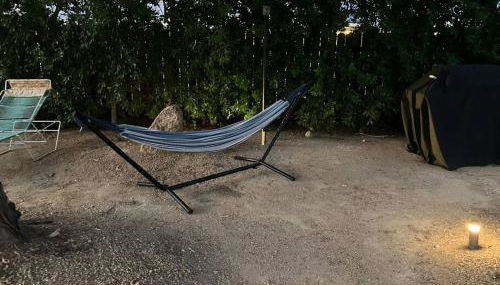 Mid-Century Krisel House with Salt Water Pool and Firepit - Foto 4