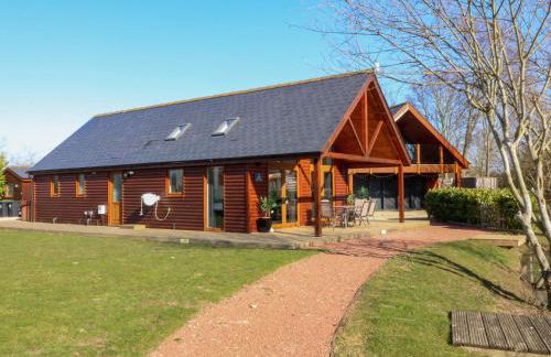 The Green Monkey - Foto 4