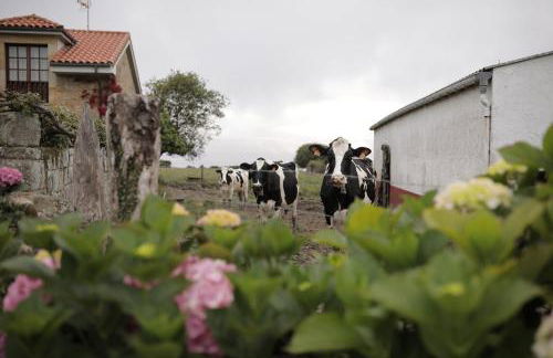 El Faro Unkempt - Tazones - Foto 46