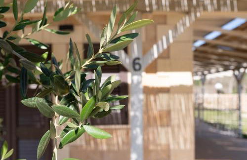 Tenuta San Lorenzo - Foto 126