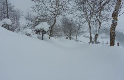 Agriturismo al Monte - Foto 7