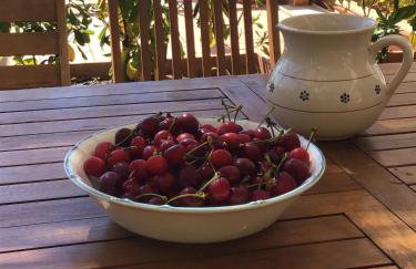 Villa la Ficuzza - Foto 13