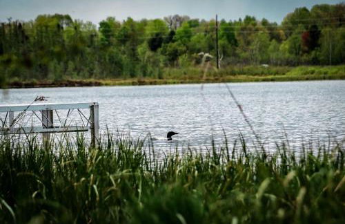 Group Lake Cabin with Ping Pong Table Loaded with Kayaks in Wisconsin - Foto 29