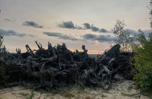 Ferienwohnung GNUBBEL am Wald - Foto 15
