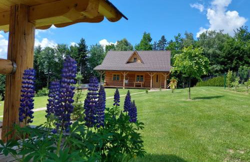 Domek u Heli - Foto 5