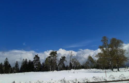 Fewo Schwarzwald Von Oben - Kniebis - Foto 14