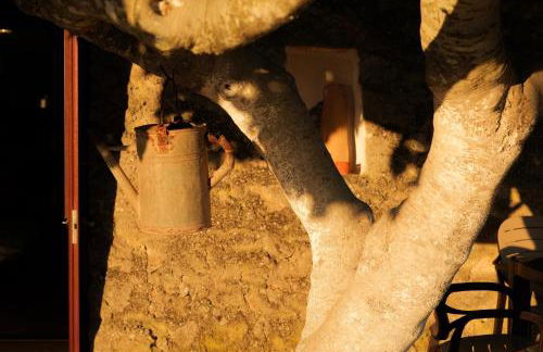 Palacca, trullo salentino - Foto 68