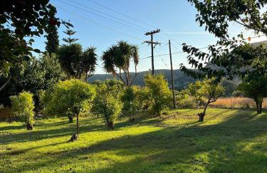 Anabelis studios & apartments - Foto 77