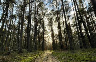 Wygodny eko domek koło nadmorskiego Parku Krajobrazowego - Foto 49