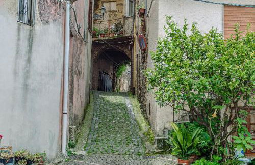 Mary's House - Photo 89