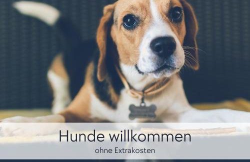 GRÄFIN ANNA - Rückzugsort für Freundetreffen in der historischen Hinterburg Schlitz - 2 Schlafzimmer, Altstadtlage, Garten, Aufzug, Hund willkommen - Foto 25