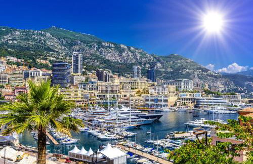 VILLA DES PERGOLAS -6 Bdrs - 5 bathrs -Parking -Jardin -JACUZZI -TRAMstation , 10 min beach - Foto 37